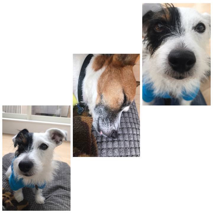 C37aad5c 30b1 4afb 82a8 7539dd61195d 1541566299310