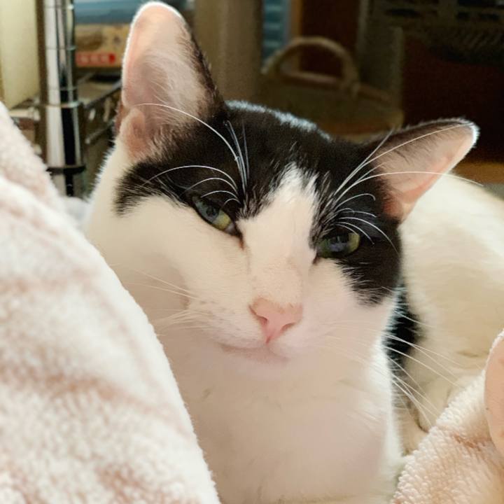 C37abfcc 3a65 4453 a4ef 22d5bc85a43a 1542423314898