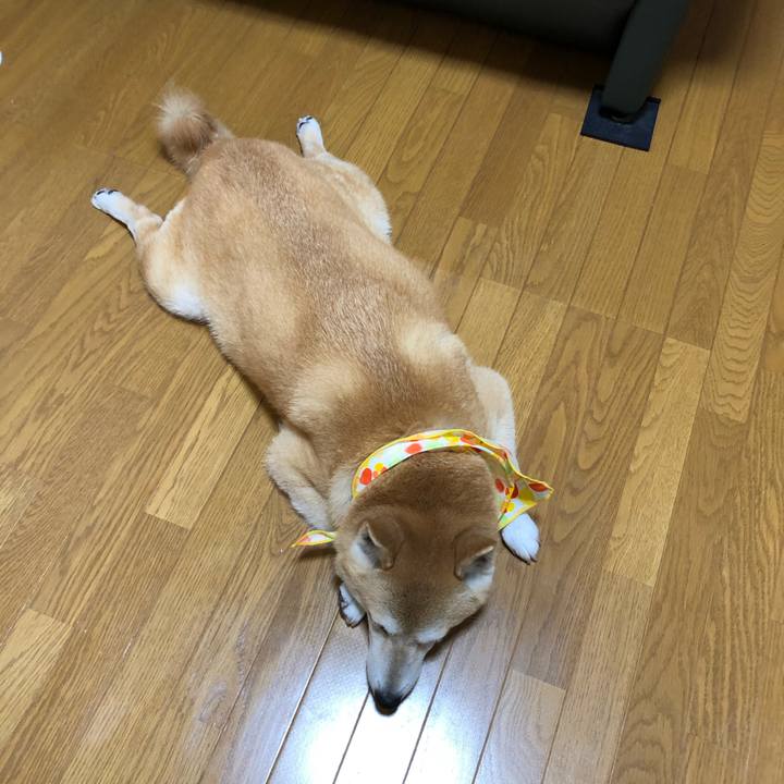 C37ae41a 08bf 4725 9e23 a6048f6546da 1595810813875