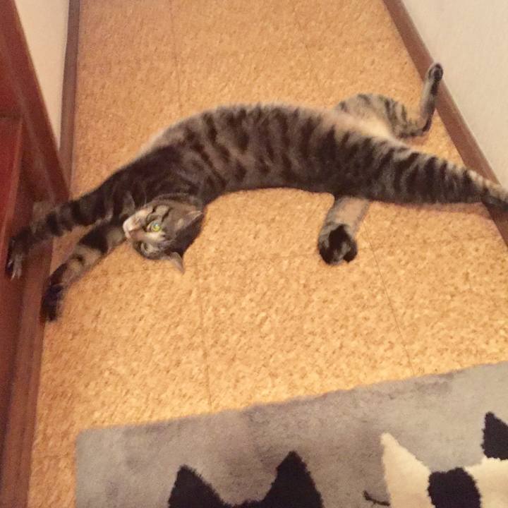 C37af20a 90bf 44ff 818e cc745afb77fc 1524306258585