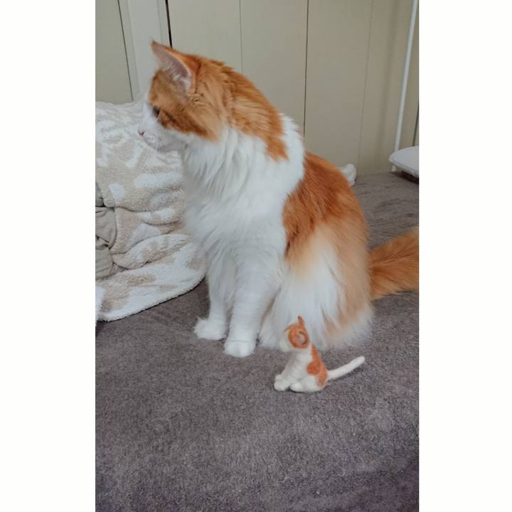 C37af8f2 1ff1 4789 b406 a0bc1f9a15ad 1522903138142