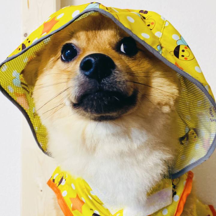 C37afb64 9ee6 4fba a7d8 641cd690afb3 1594814825139