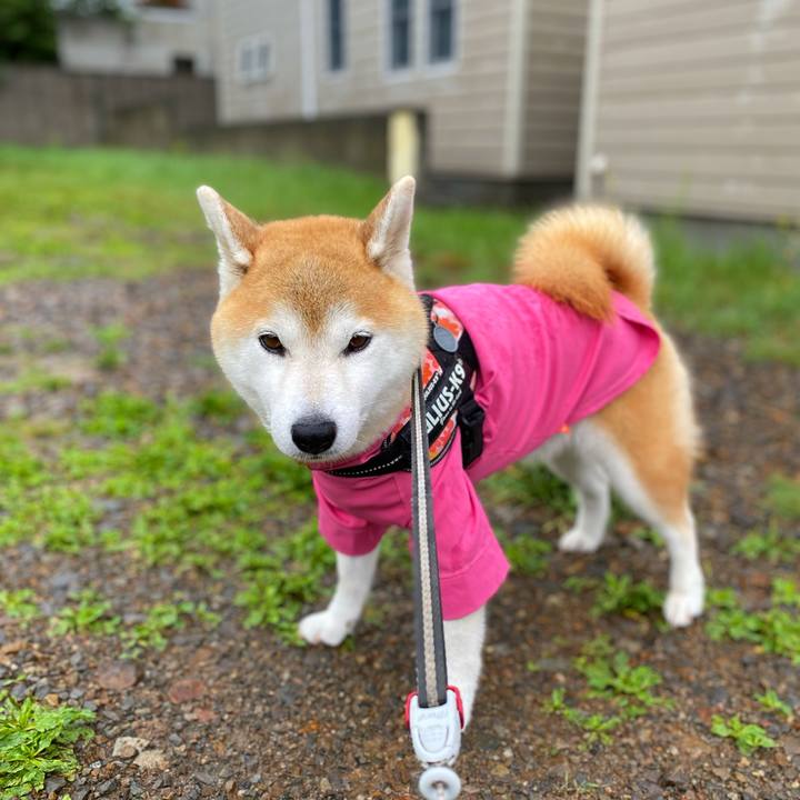 C37b13b4 9789 42d7 bc88 7390b9a32d00 1660609571260