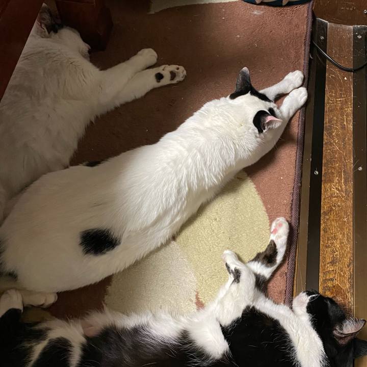 C37b366b 0bff 43ec 89c4 3a1146292b29 1646314708891