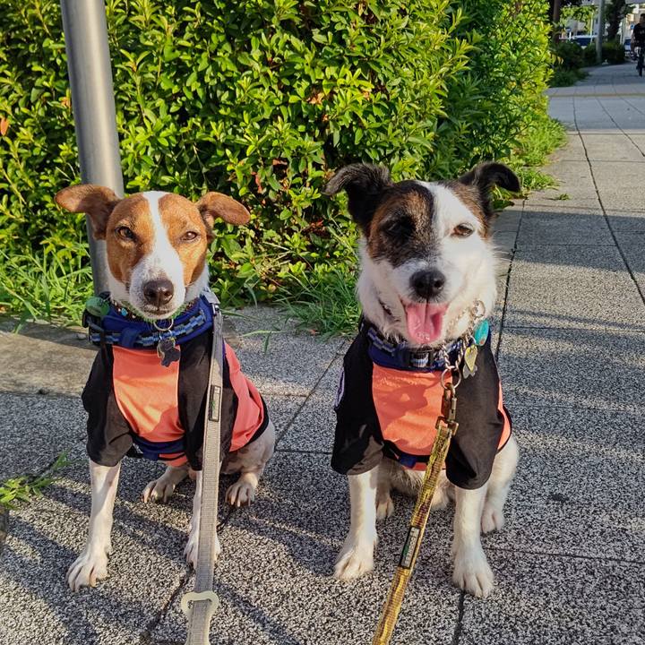 C37b3926 e81f 4328 b86c d561f3260b54 1657488561188