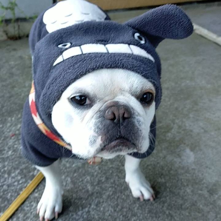 C37b3ab0 4c26 4c72 8775 520f0ea15770 1667169900821