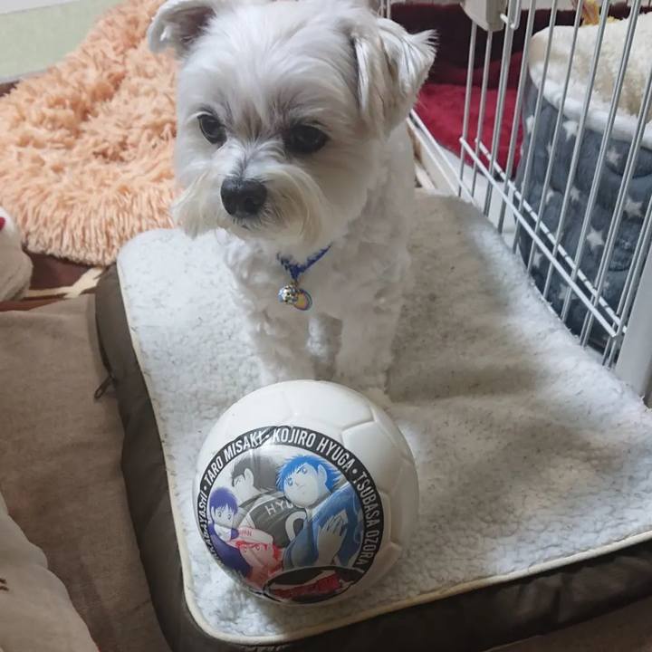 C37b4ecc 6130 4b04 9006 62b9b74a647f 1668761103011