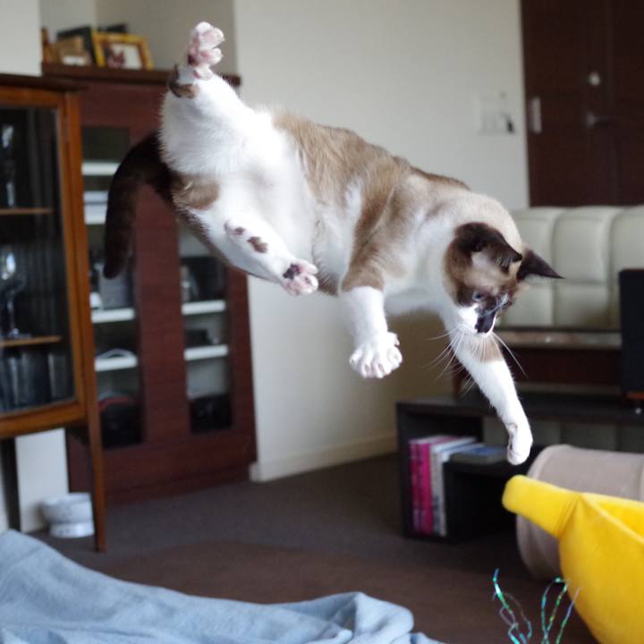 C37b769e a0b4 4b85 8e4f ae069ab8ee6f 1546393925818