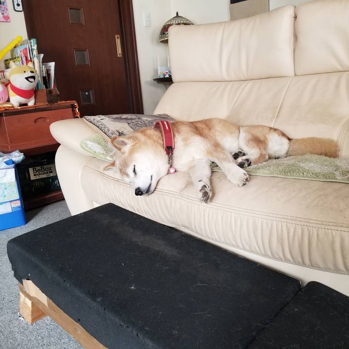 C37b9dbb 45c5 40be 958f b6f1420d0d5e 1771206737426