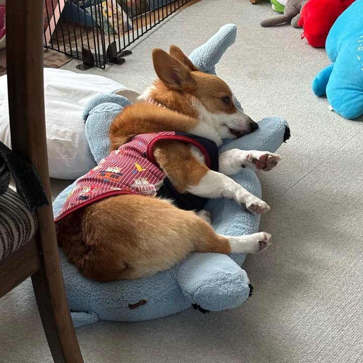 C37c297b d033 479b 9d02 7a3f368535d4 1762931062725