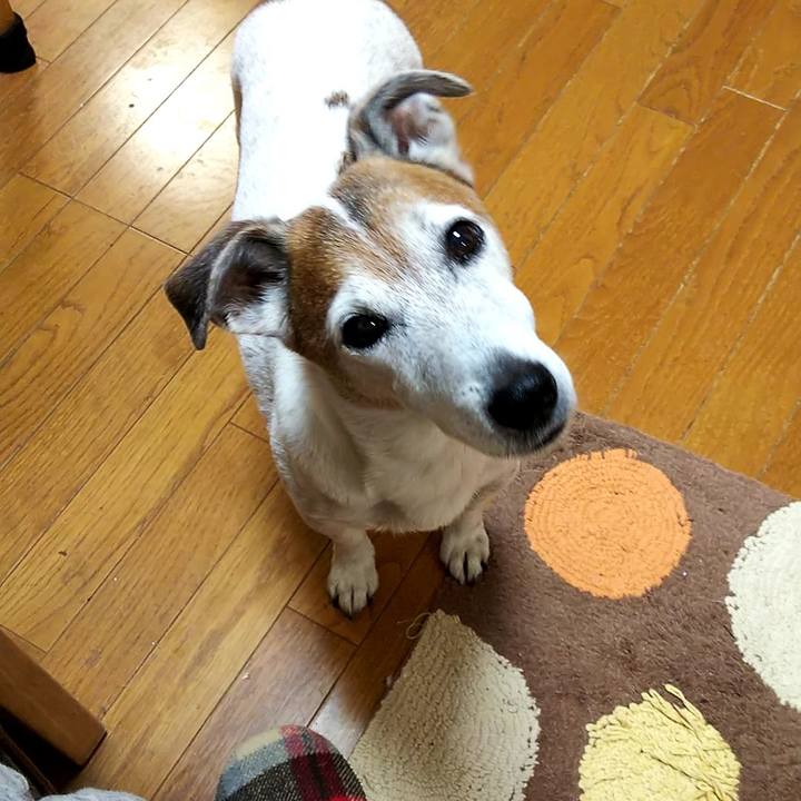 C37c2d2c e2df 4fe0 981c 9a154fc51879 1551218949672