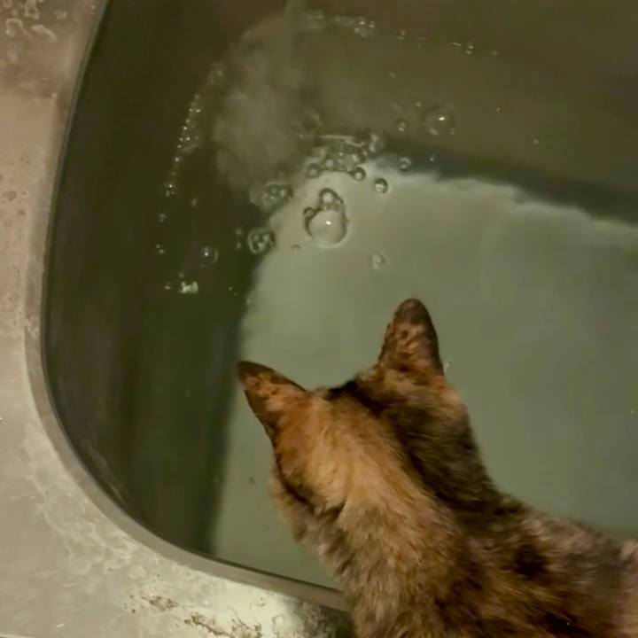 C37c556d a6d1 4f1e a785 843a41db2151 1745436036600