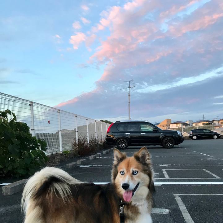 C37c64e0 25cb 48a2 ad31 86bb6d04d294 1531048526336