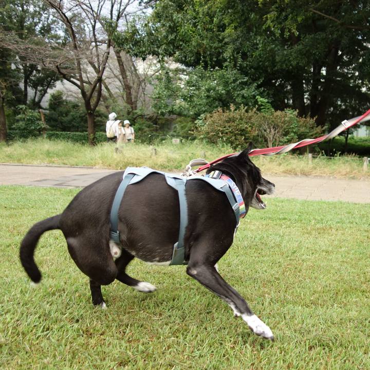 C37c6a25 e1df 4915 b905 82fc51228315 1726709380785