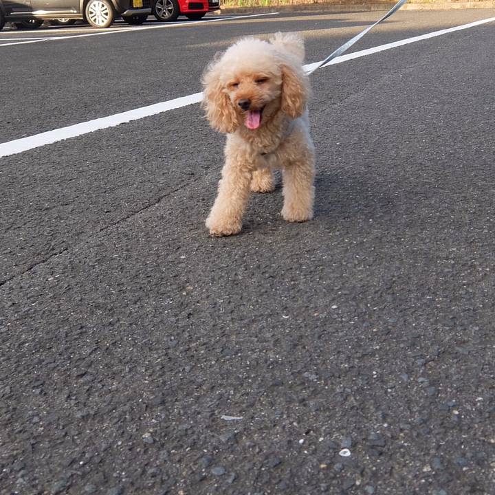 C37c8235 beec 46f2 9d7f f2d088dee916 1597487406597