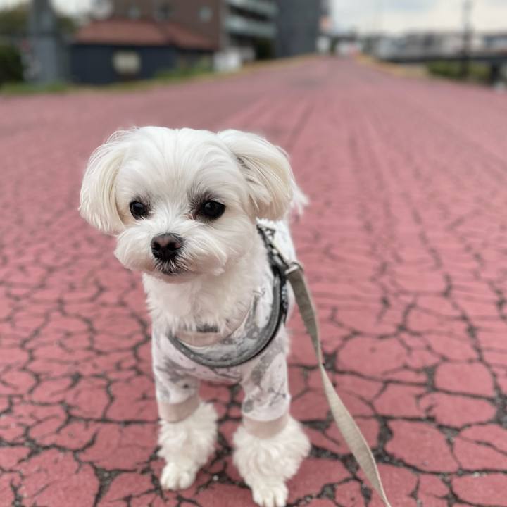 C37c9e0e e428 4062 ae25 f1ba5869f4a9 1772225361696