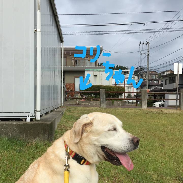 C37cb448 9021 441e 9ff8 bc681eca99ce 1534126208038