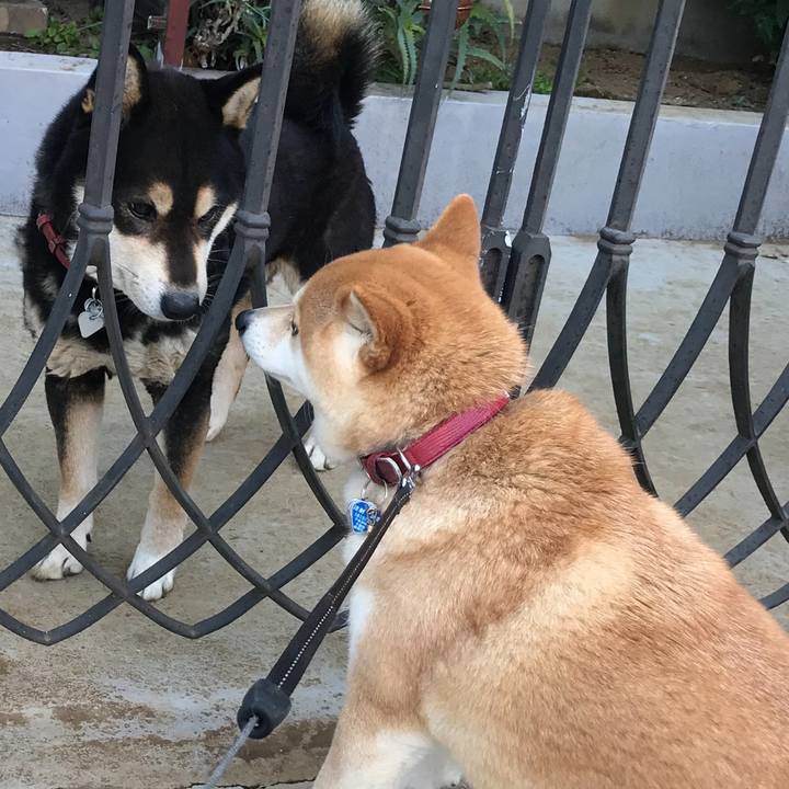 C37cb756 9ce6 40ee bf82 8ce57046312f 1552911995195