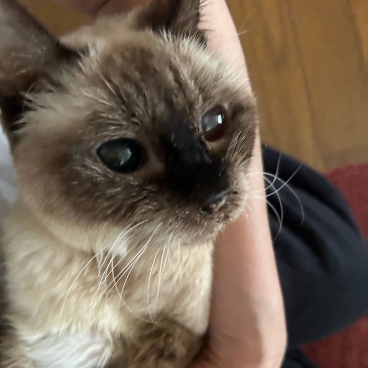 C37cb8ab 0b41 4399 84df 0ab6016c2589 1719620676609