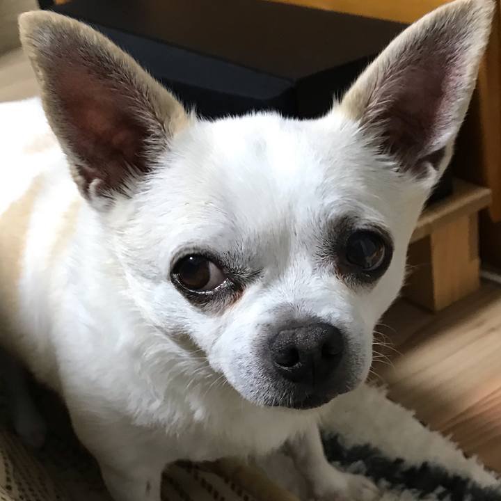 C37cbc38 307b 468f ad5d 4274a223161e 1602590618254