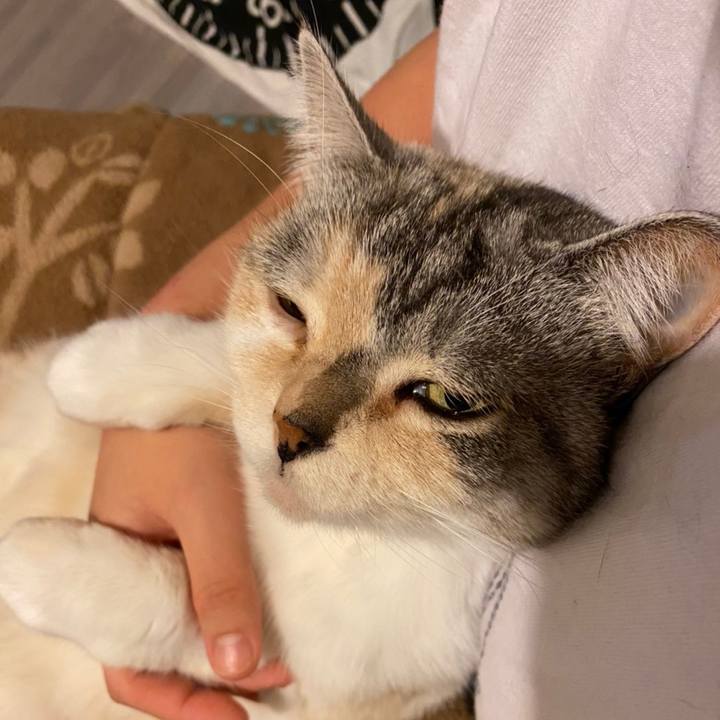 C37cf4f8 2303 4a65 a4f1 d3984f962da3 1607223326213