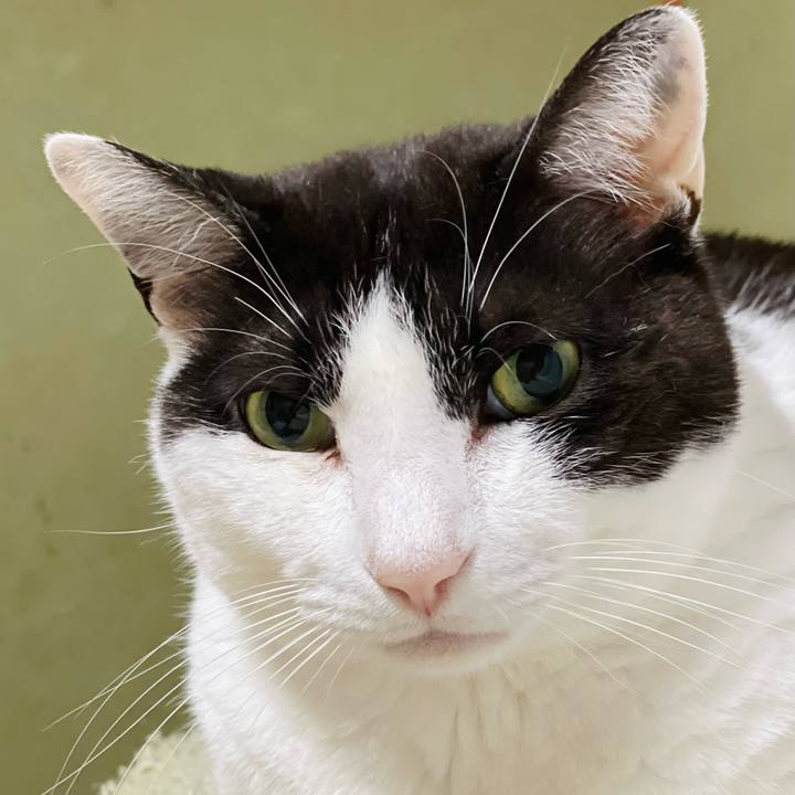 C37d1e72 45fc 4ab0 bae3 8655f3f344f8 1653965119498