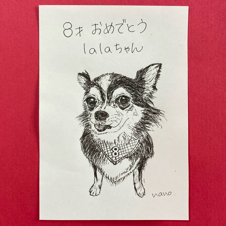 C37d3e96 dce0 4d80 bb33 e62afe0224fe 1628475849986