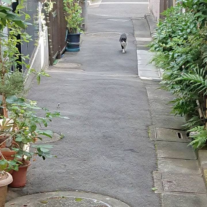 C37d61e6 350e 4870 b135 ad8bb2335948 1692919424960