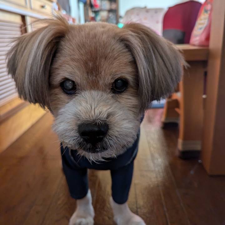 C37d6333 23e7 44ac b5cf 031af0f8173c 1726266597481