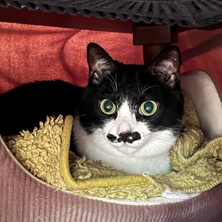 C37d9c42 e5f4 4686 a9fc 55ec1e2bd5c1 1766702156364