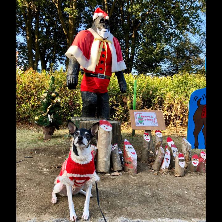 C37d9ca7 4611 48df 978d d81eeb963c98 1545636773039