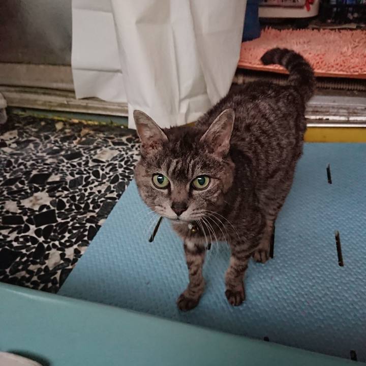 C37dce4b 2638 4dab 88c7 c15d77ec314e 1587891415245