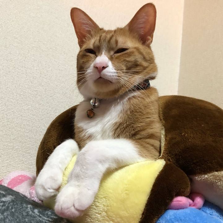 C37ddee1 4ee2 46f9 8d6f 0c458d6f9727 1586010685322