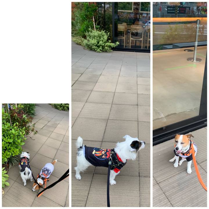 C37de3d7 617e 4f2f b7a7 25d6633dc678 1590137041917