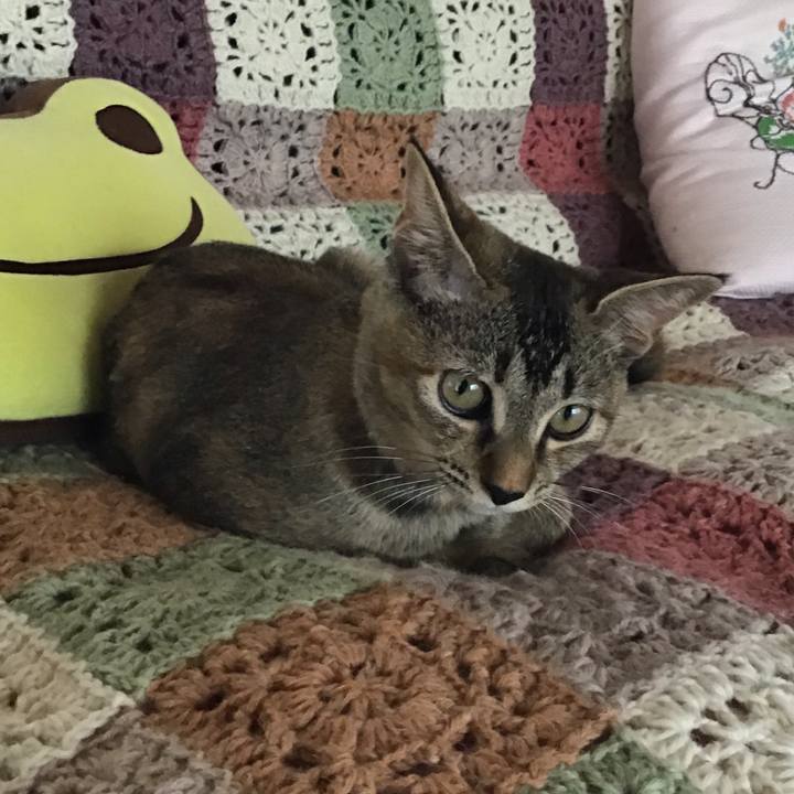 C37df15c 04cb 4f57 9e3b ff2fbf0edd74 1662211291853