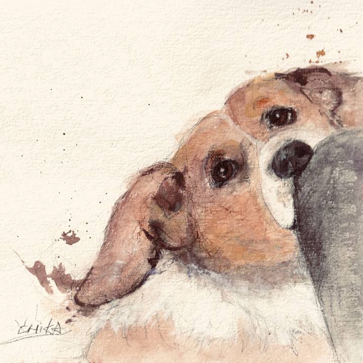 C37e4521 c2a8 4bb8 8510 9b37c9a615d7 1748138028970