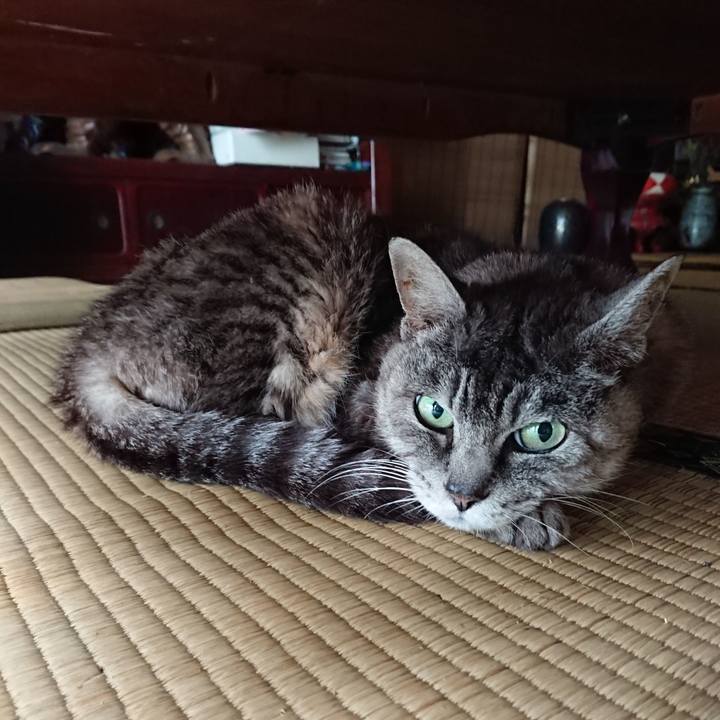 C37e7297 a1a4 4c61 b74c 615d1266998b 1567634034810