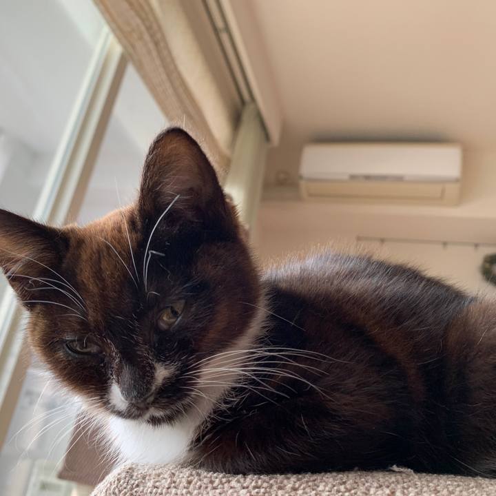 C37e862b 10f2 47be 8bff 53ba257b4ab8 1579347561062