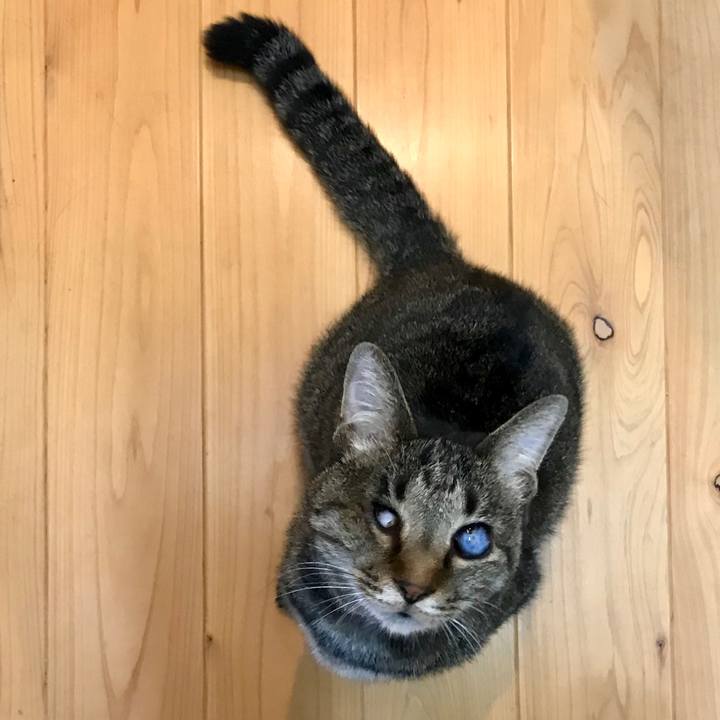 C37e939c 18a5 4d2b b223 bcc24b423924 1562110154032