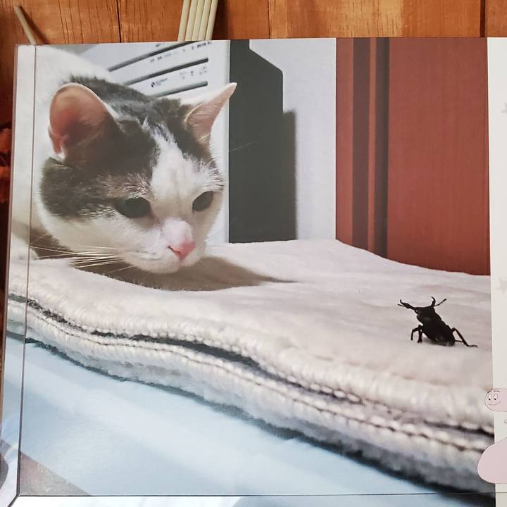 C37f19b9 fde4 4b80 9a6e ecd1ddfd07d1 1583029448508