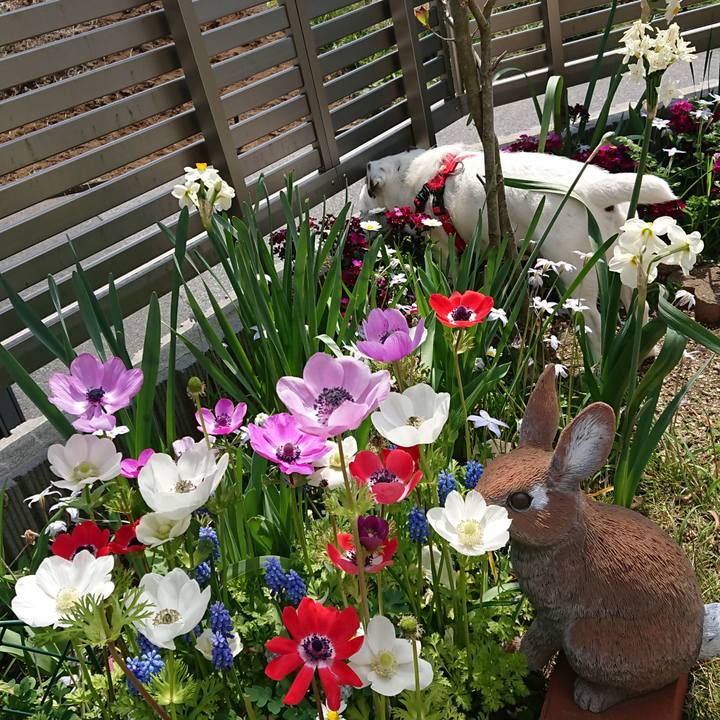 C37f1d08 71c0 46cb ba17 8aa2a84e7613 1522972284954