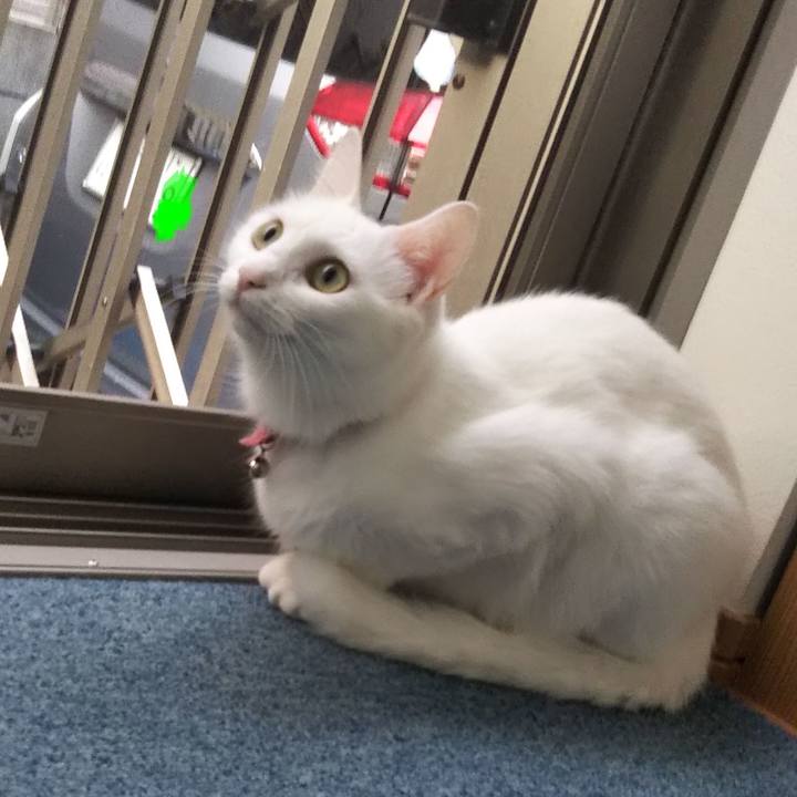 C37f3c10 d4de 4276 be8c a68cce8ac57f 1627244740617