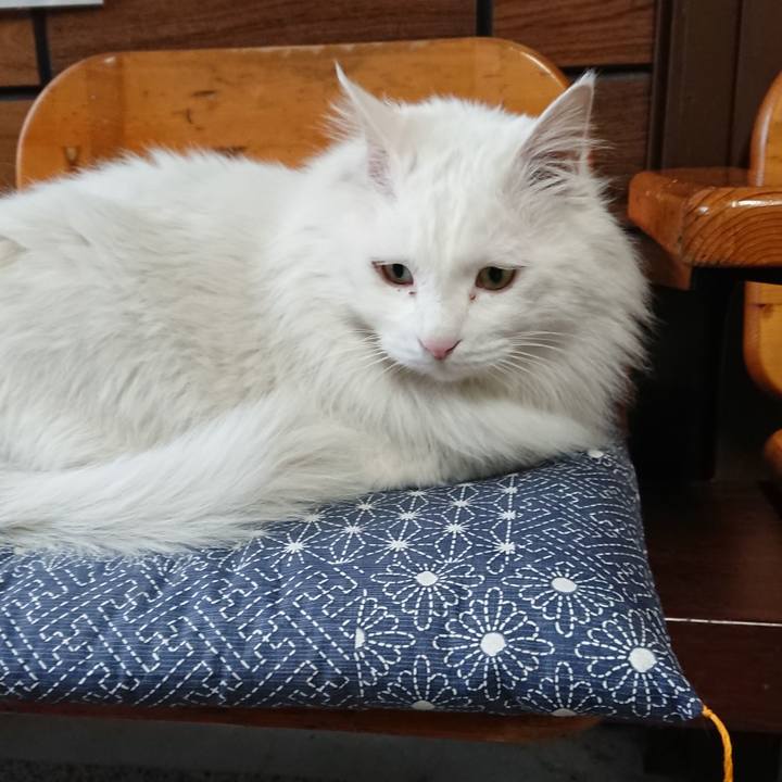 C37f5c7b 574b 4433 b658 b2d8f5279761 1520547870445