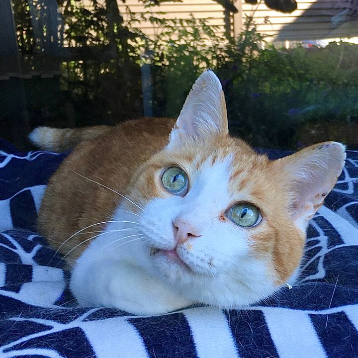 C37fae78 87c6 4887 814a b0e74810cc9f 1592282279387