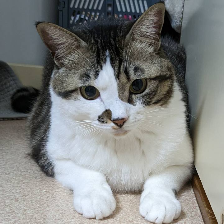 C37fee26 92bd 45df 8e5e bb996602ae68 1674219459858