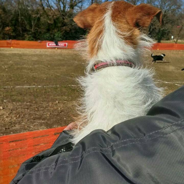 C3800994 536c 4920 b163 ac07380aed24 1513512127428