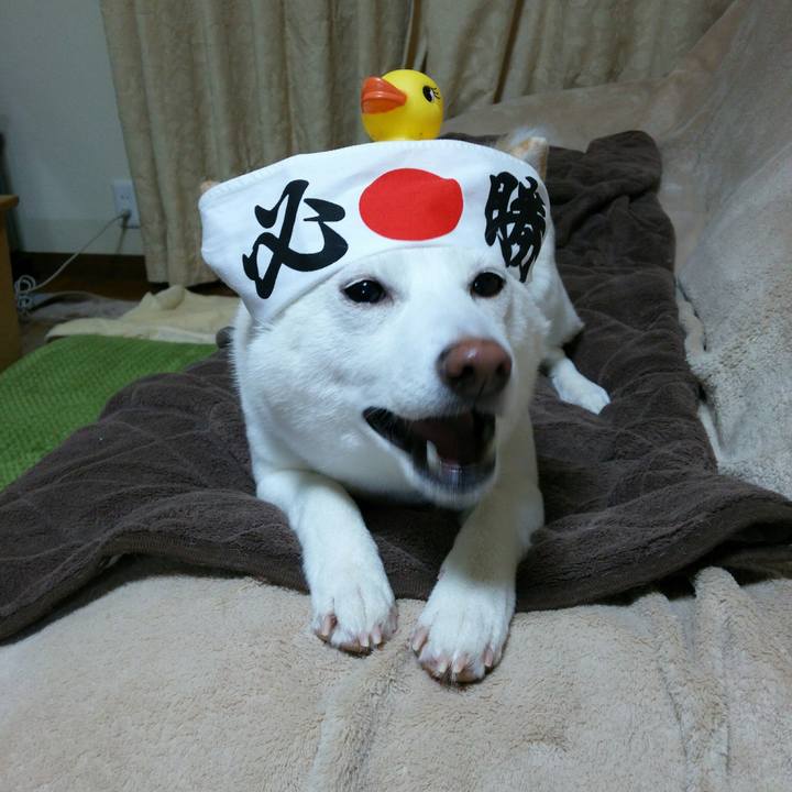 C380408f 7e59 46f9 a635 87bb4de54b15 1548673939645