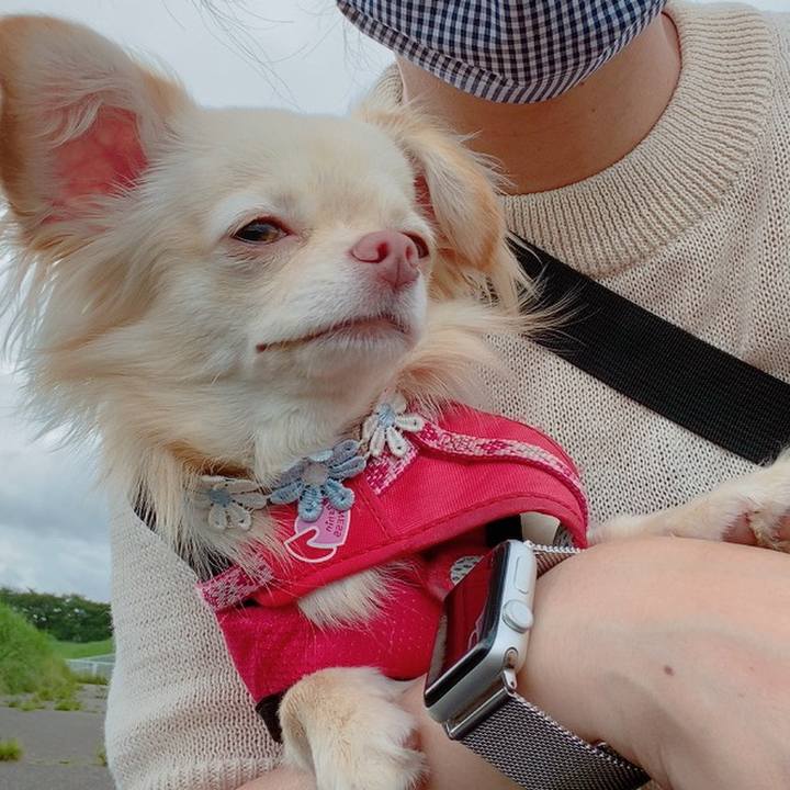 C380488e a080 4024 84cc e1c5c0cb753d 1621587145987