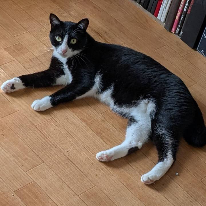 C3805a6a 2253 400c b36f 81beb05cce04 1750161747507