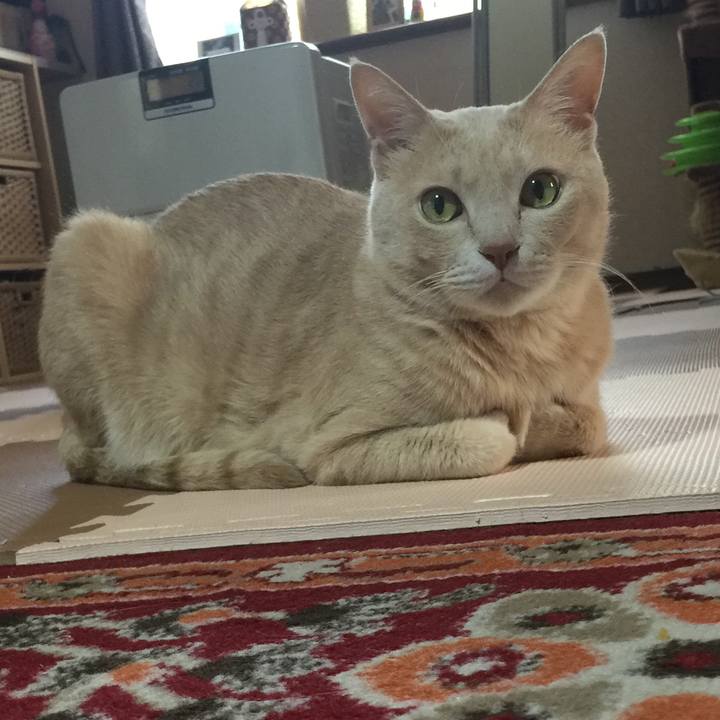 C380b432 568c 4ede b68a 1500a1bc9f81 1556862867550